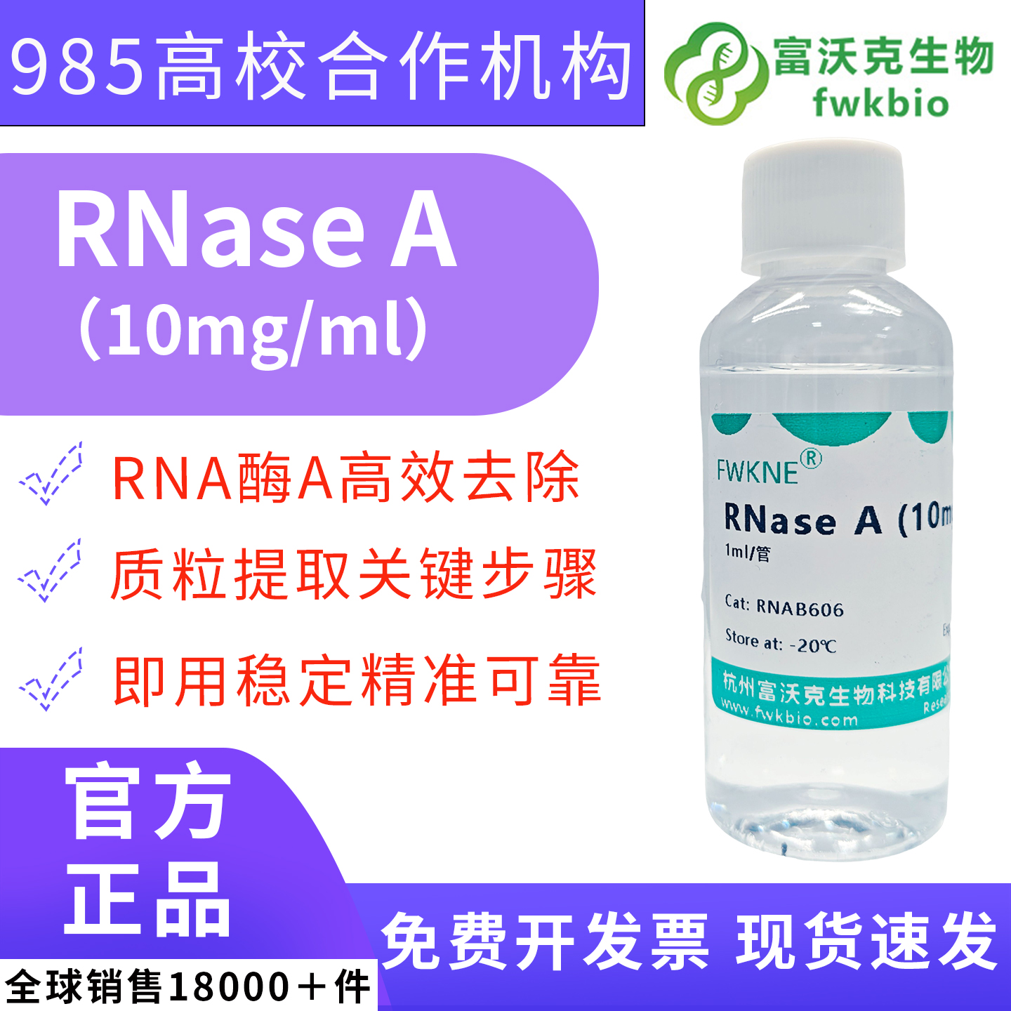 高纯 RNase A 酶溶液 特异性单链 RNA 降解工具酶 RNA 酶保护实验核酸结构解析生化科研实验试剂