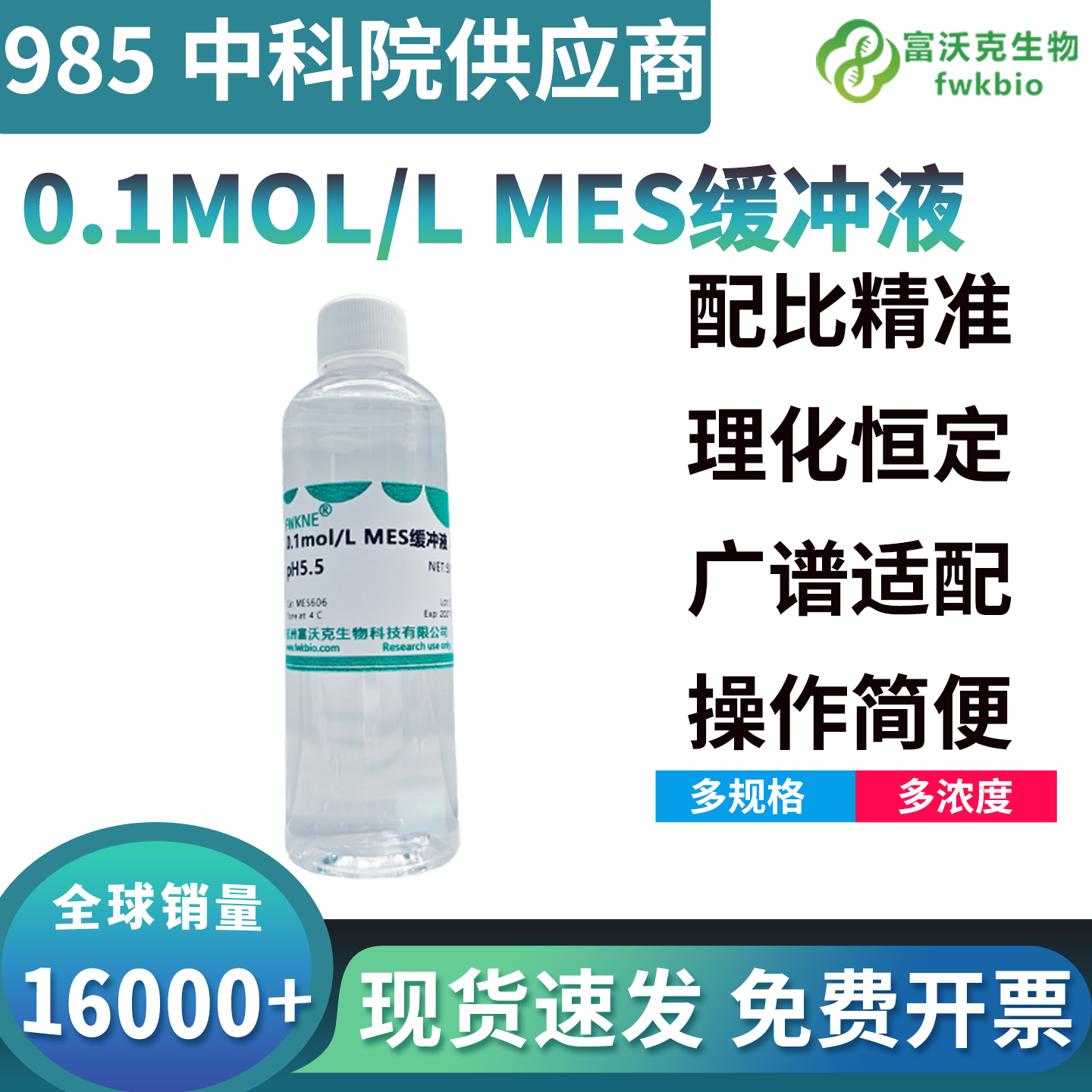 小分子蛋白电泳专用 MES-SDS 缓冲液产品说明：适配 Bis-Tris 预制胶、30kDa 以下蛋白高分辨分离实操与质控标准