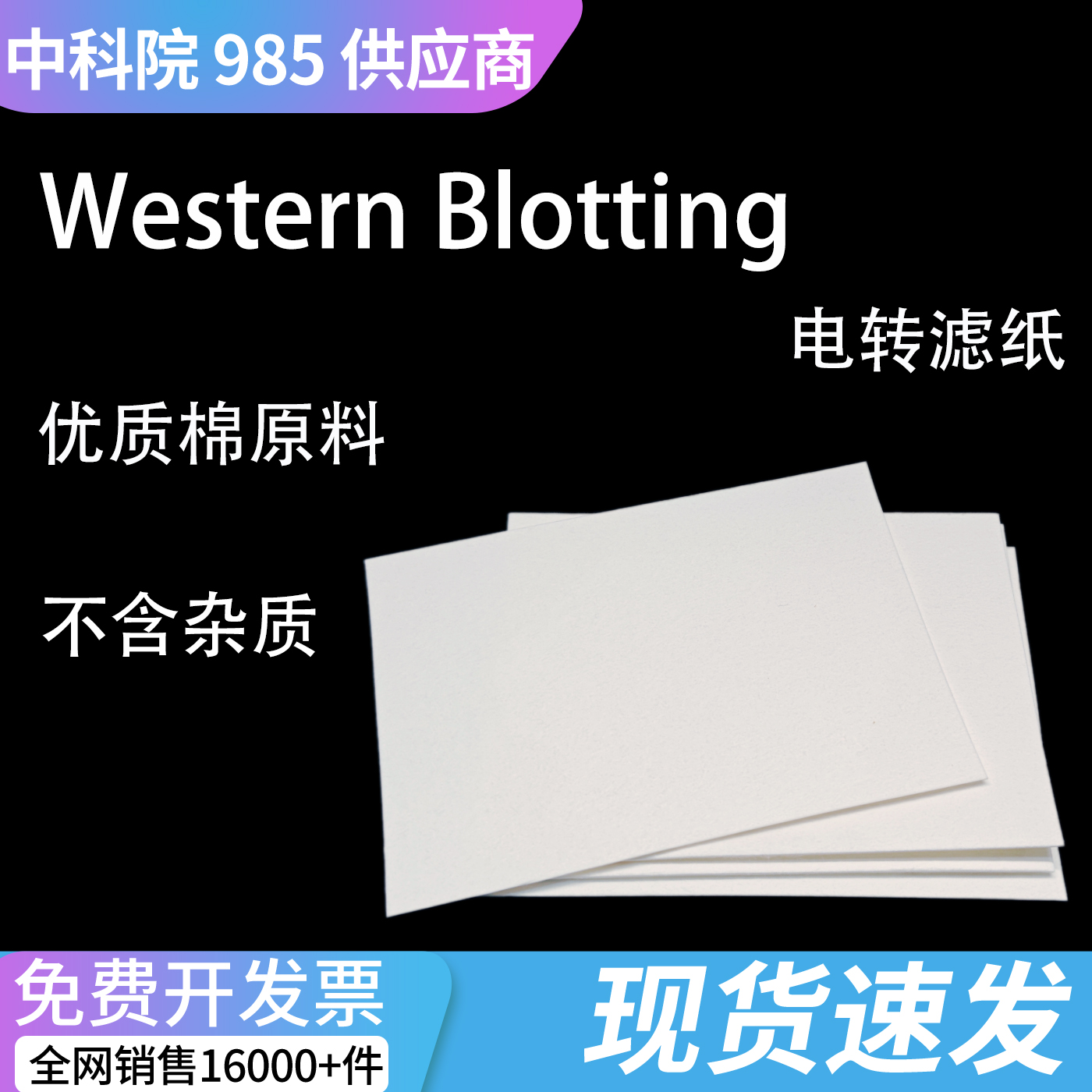 Western blot湿转印滤纸 高密度加厚科研蛋白转膜滤纸
