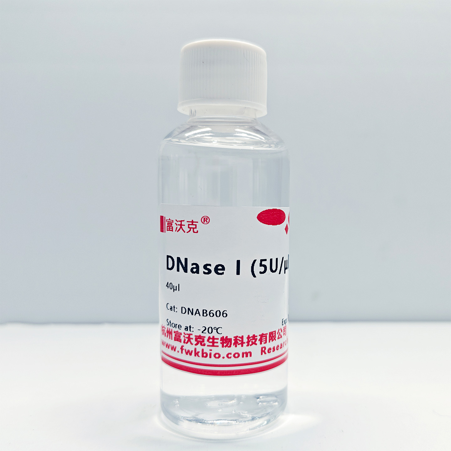 DNase I实拍图.jpg