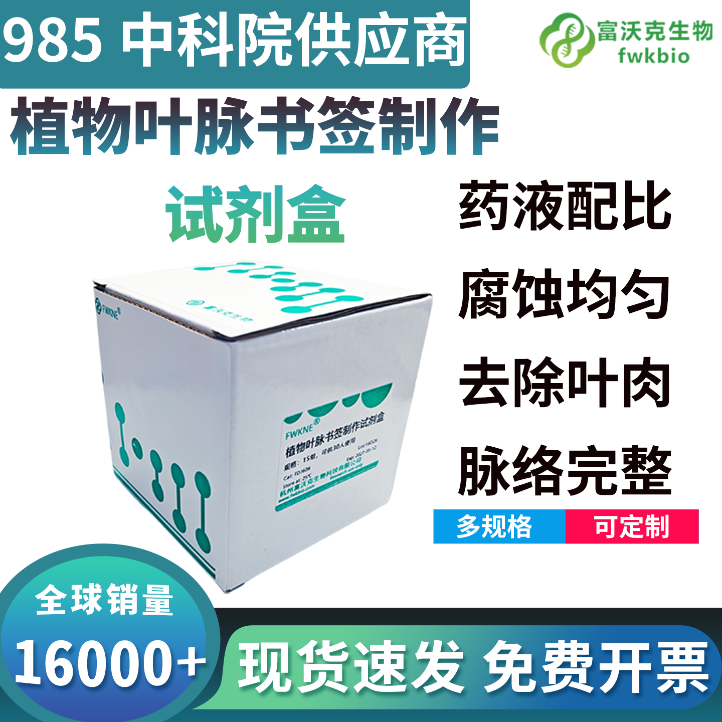 植物叶脉书签制作试剂盒